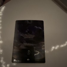 Swamp (488) (Borderless) (Galaxy Foil) Unfinity Foil