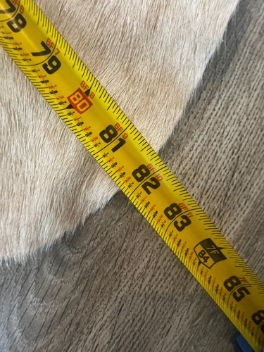 Tappeto XXL brasiliano Palomino beige e bianco in pelle di mucca naturale 6’10”x 8’ NUOVO - Foto 8 di 11