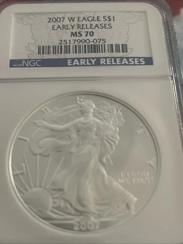 2007-W (Burnished) Silver American Eagle MS-70PCGS Earl Release