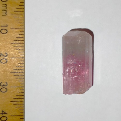 Rubellite Tourmaline bicolor terminated crystal natural rough gemstone 25.6ct - Picture 7 of 8