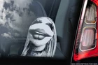 Janice, Car Sticker - Muppets Peeper Window Bumper Sign Decal Gift - V01