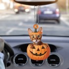 Abyssinian Cat Pumpkin Holiday Car Ornament, Abyssinian Cat Halloween Ornament