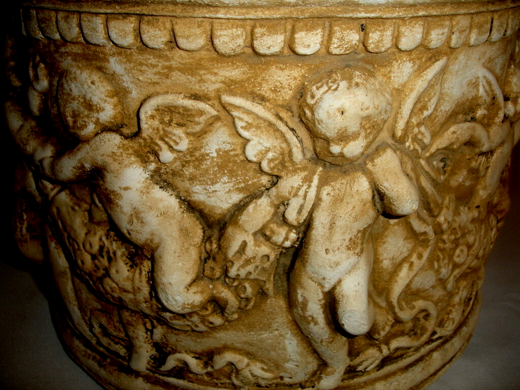Picture 8 of 8