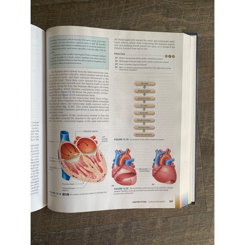 Hole's Human Anatomy & Physiology David Shier (Author), Jackie Butler (Author), - Imagen 5 de 5