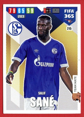 FIFA 365 2020 -Panini- CARD ADRENALYN -Scegli-Choose TEAM MATE (10-333) - Picture 143 of 223