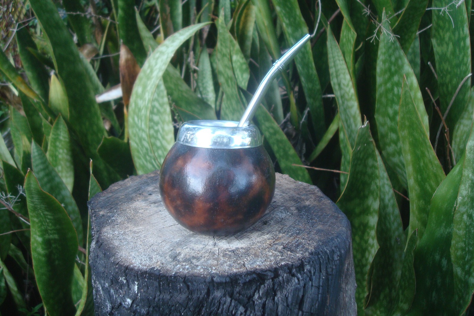 Picture 4 of 8