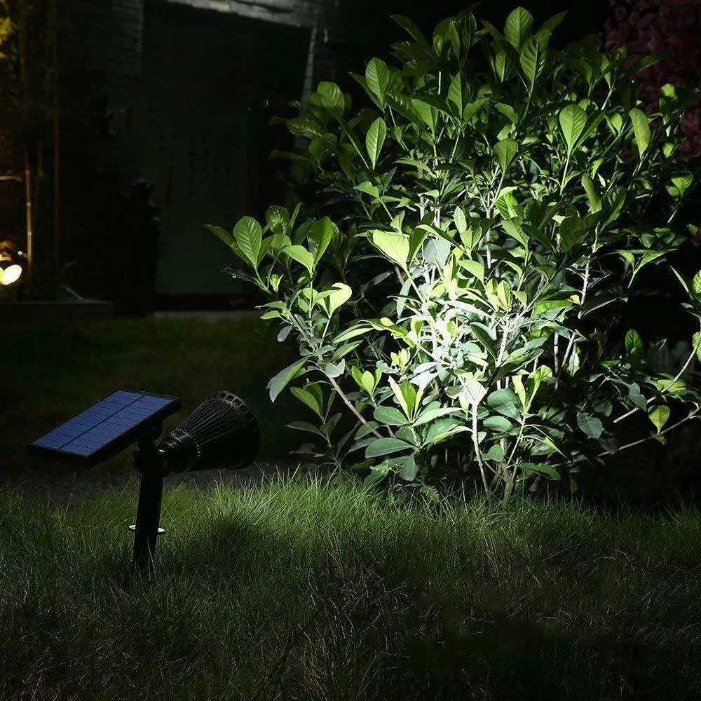 第 7 张/共 11 张