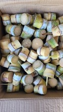 100 Cut sticks SUGAR CANE GREEN JUICING CHEWING ORGANIC PLANT