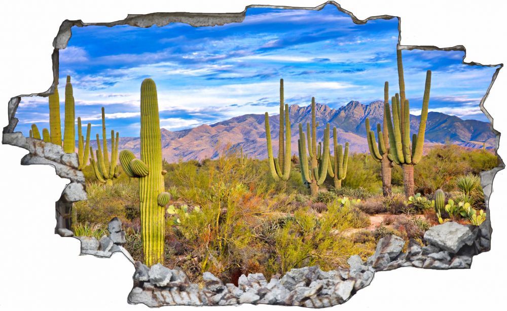 Cactées cactus cactus cactus paysage Mural Sticker Autocollant c1086 ae908d Cactées cactus cactus cactus paysage Mural Sticker Autocollant c1086 ae908d
