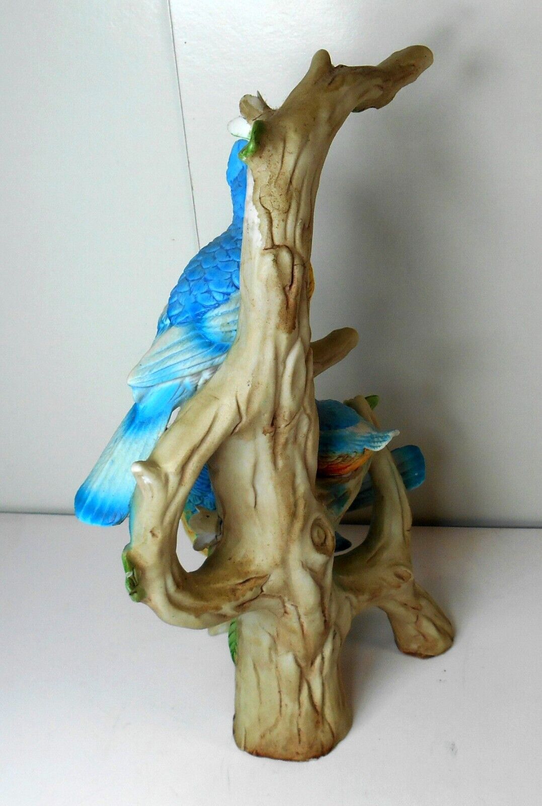 Picture 6 of 14