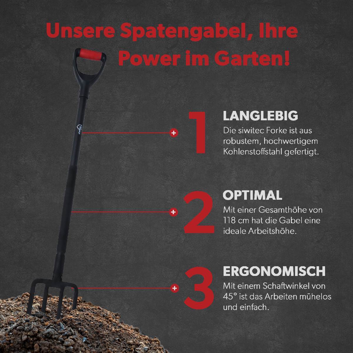 Bild 11 von 34