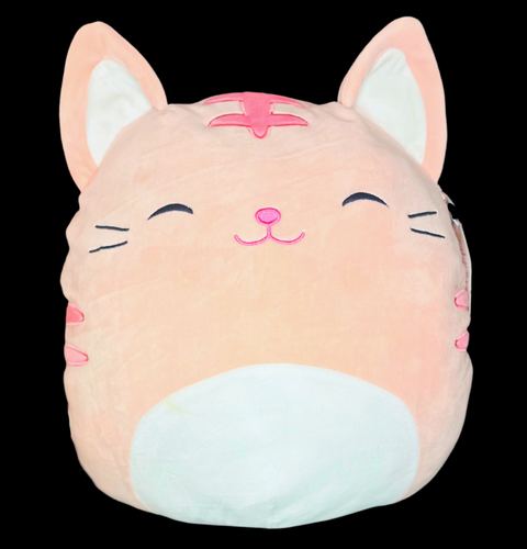 Squishmallows PAULITA The PINK CAT 16" Plush, ORIGINAL EDITION 2020 RARE & HTF! - Picture 2 of 9