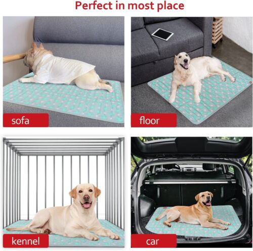 Dog Crate Mat Soft Dog Bed Mat Machine Washable Kennel Pad Anti-Slip 42"X28" - Picture 34 of 34
