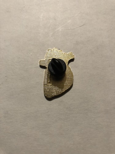 Koronararterie Anatomisch Herz Aorta Echo RDCS Herzvene Gefäßstift - Bild 2 von 3