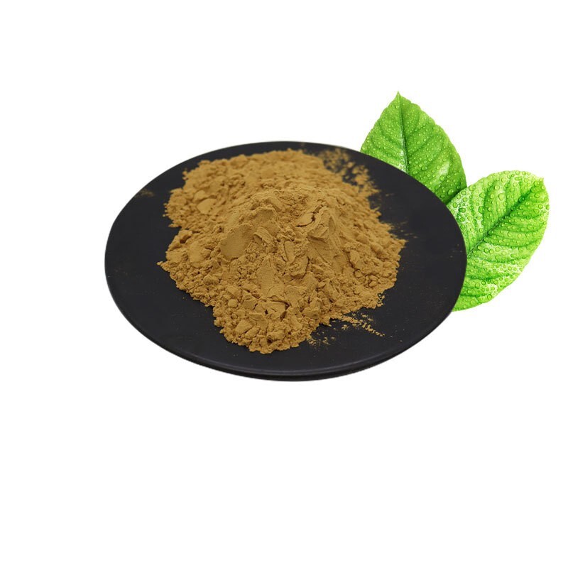 250 g extracto de loto de nieve 30:1 polvo Snow Saussurea