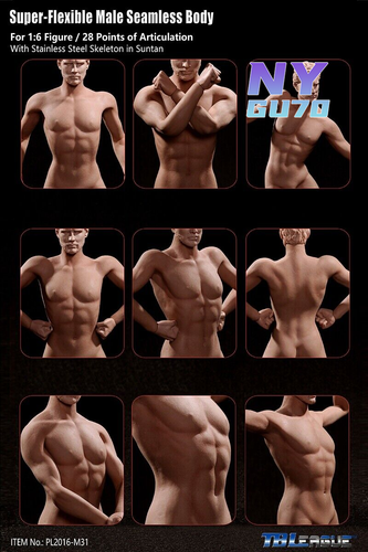 TBLeague PL2016-M31 1/6 Flexible High-thin Male body Muscle Man Figure Body Toy - Picture 8 of 11
