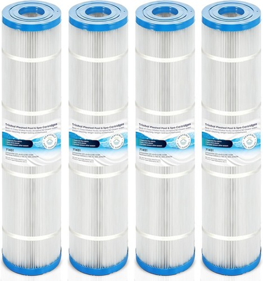 #ad HEAVENLY CL580 Pool Filter Cartridges Compatible with Jandy CV580 4 PACK $225.00