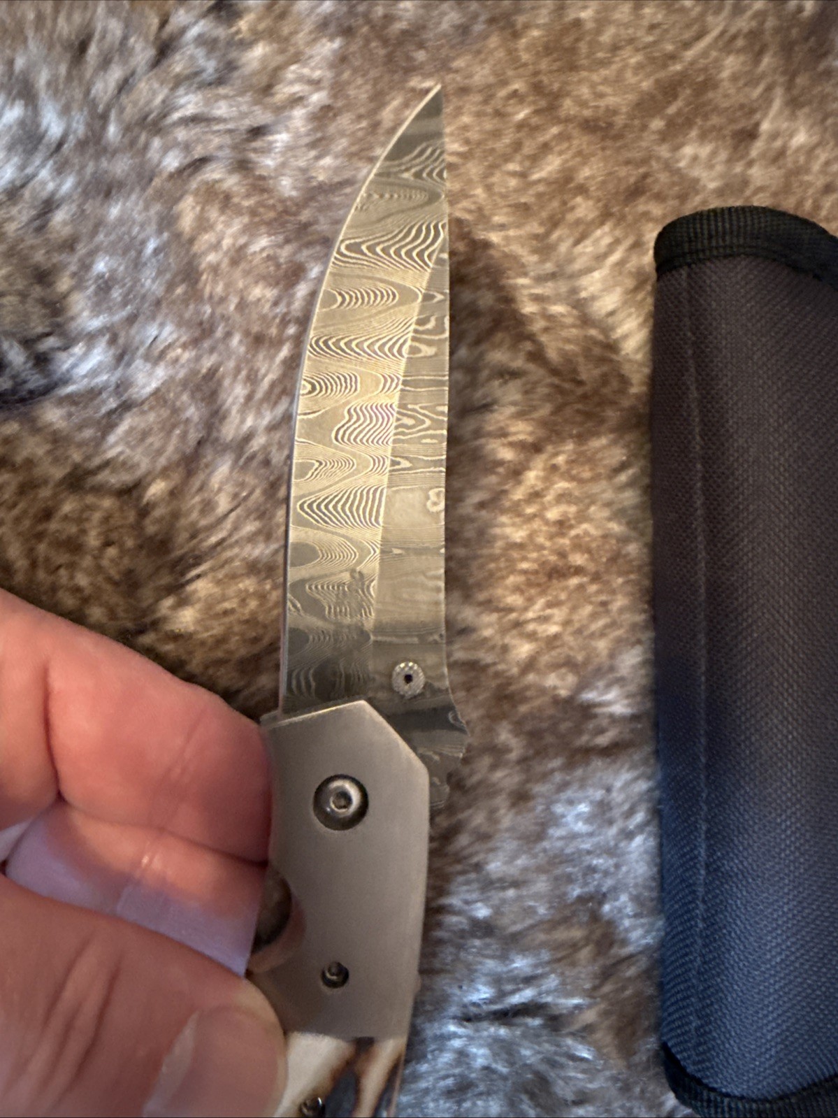 Picture 5 of 20
