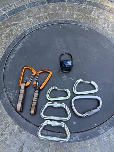 Rock Climbing Carabiners  Lot of 8 pcs Omega, Petz,l Blackdiamond - Picture 1 of 12