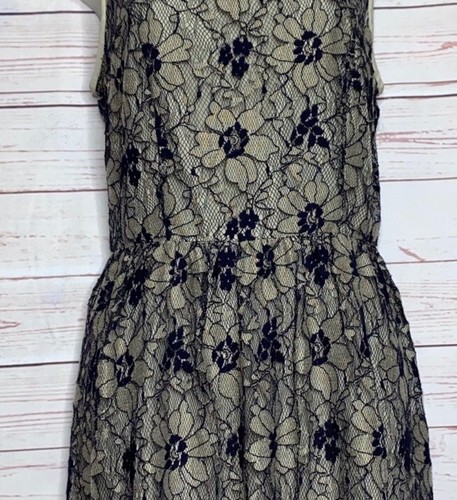 Ann Taylor LOFT Blue Lace Beige Lined Fit Flare Dress Size 6 Floral Sleeveless - Picture 3 of 8