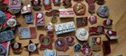 Bild 8 von 24