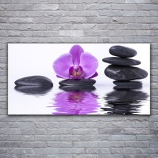Acrylglasbilder Wandbilder Druck 120x60 Blume Steine Kunst