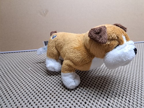Ganz Webkinz Lil Kinz Bulldog HS126 Plush 7" Stuffed Animal Dog Puppy No Code - Picture 1 of 4