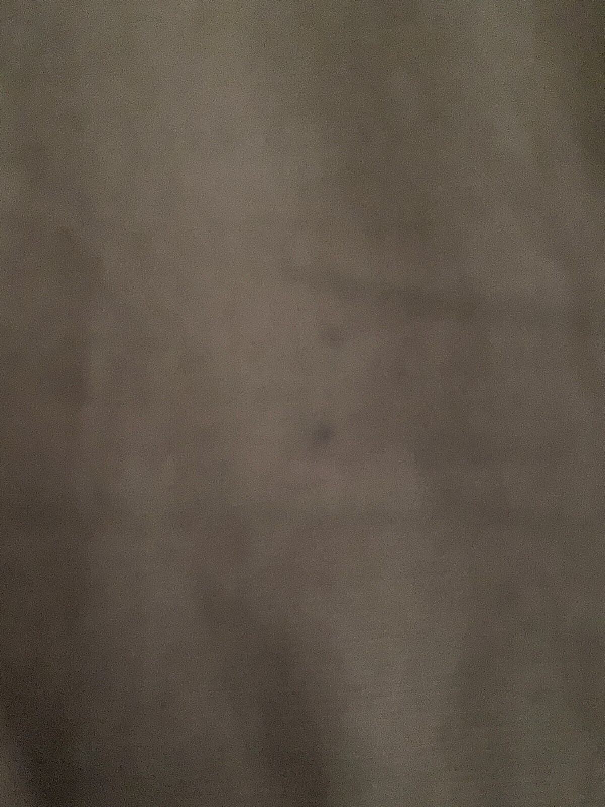 Picture 4 of 4