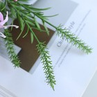 Foto 7 di 15