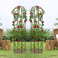 2x 1.9m Garden Obelisk Metal Trellis Climbing Plant Support Cage for Roses Vines