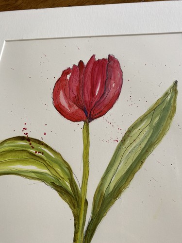 Water Colour of a Red Tulip Signed by Bente De Grey - Picture 2 of 7