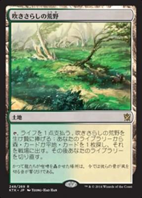 Windswept Heath (JA) - Foil KTK Japanese LP MTG