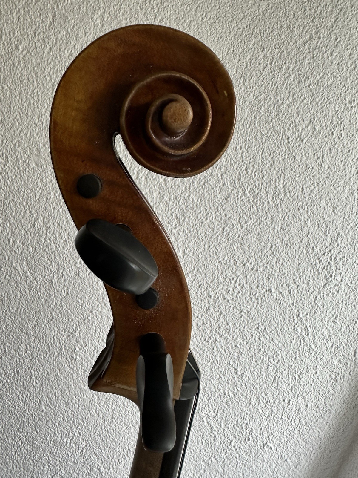 Bild 15 von 24