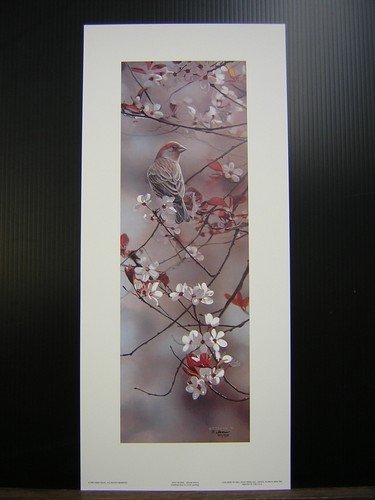 Terry Isaac Hint of Pink House Finch Signed Limited Edition Art Print - Picture 1 of 2