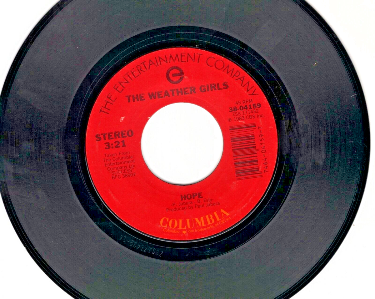 THE WEATHER GIRLS: SUCCESS / HOPE .. 45 RPM 2492 | eBay