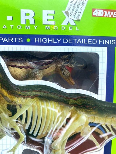 Famemaster 4D Vision T-Rex Anatomy Model NEW - Picture 4 of 9