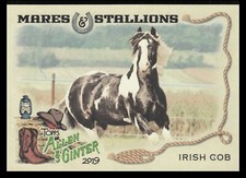 2019 Topps Allen & Ginter Mares and Stallions Irish Cob Horse #MS-13  (B)