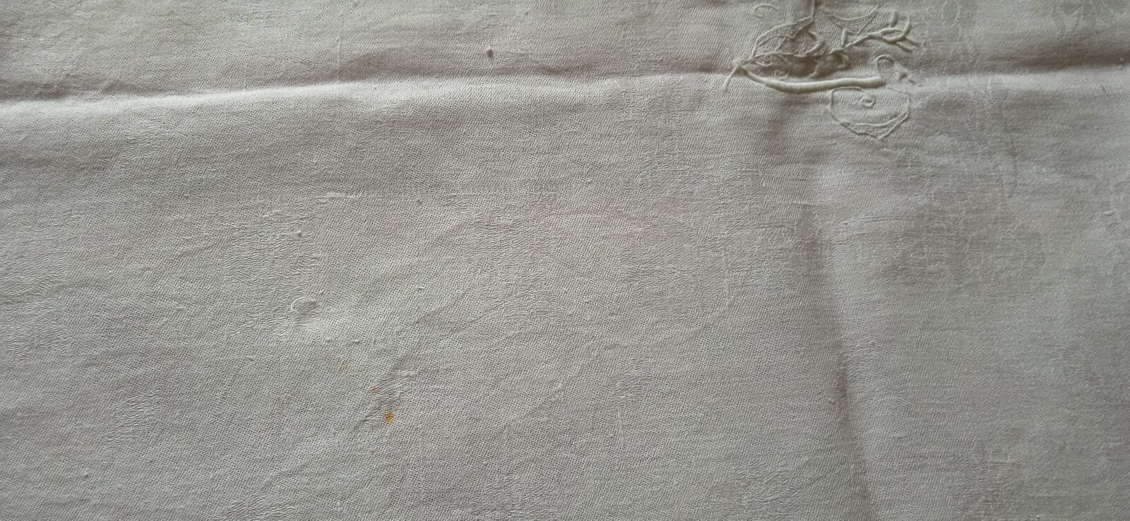 Bild 6 von 14