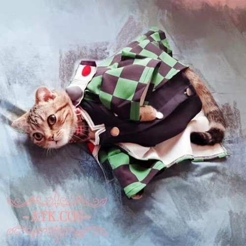 Demon Slayer: Kimetsu No Yaiba Character Cosplay Dog Pet Cat Cute - Picture 6 of 8