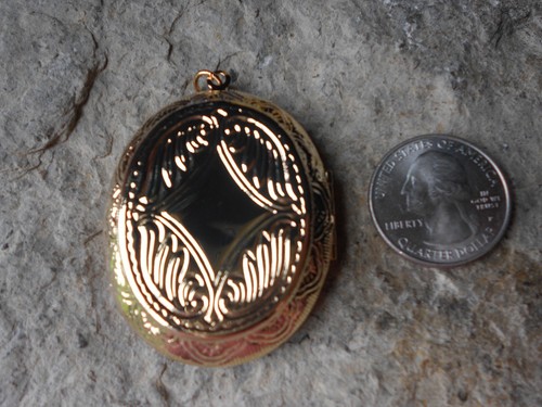MEDALLÓN CHAPADO EN ORO CAMEO DE GATOS Y MARIPOSAS - CALIDAD, ÚNICO, REGALO, AMANTE DE LOS GATOS - Imagen 2 de 4