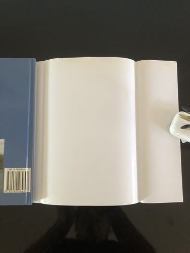 Signed Copy:Peter Wilson:The Cast from cane to carbon:Prowess 2006 First Ed/F.Pr - Picture 16 of 18