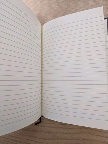 NEU Death Note Buch Schreibtagebuch Anime Manga Cosplay Notizbuch Buch ohne Stift - Bild 10 von 12
