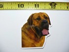 BULLMASTIFF WAITING FUNNY DOG SMALL STICKER DECAL PET PLAY FURBALL