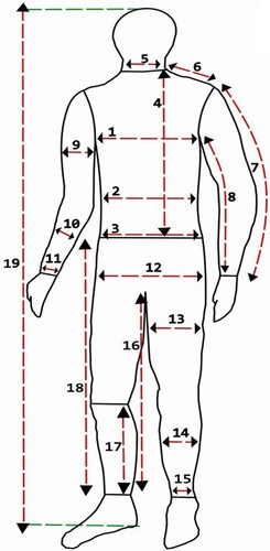 VR 46 Customized Mens New Motorbike Motorcycle Leather Suit - All Size - Bild 4 von 6