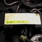 Foto 10 di 12