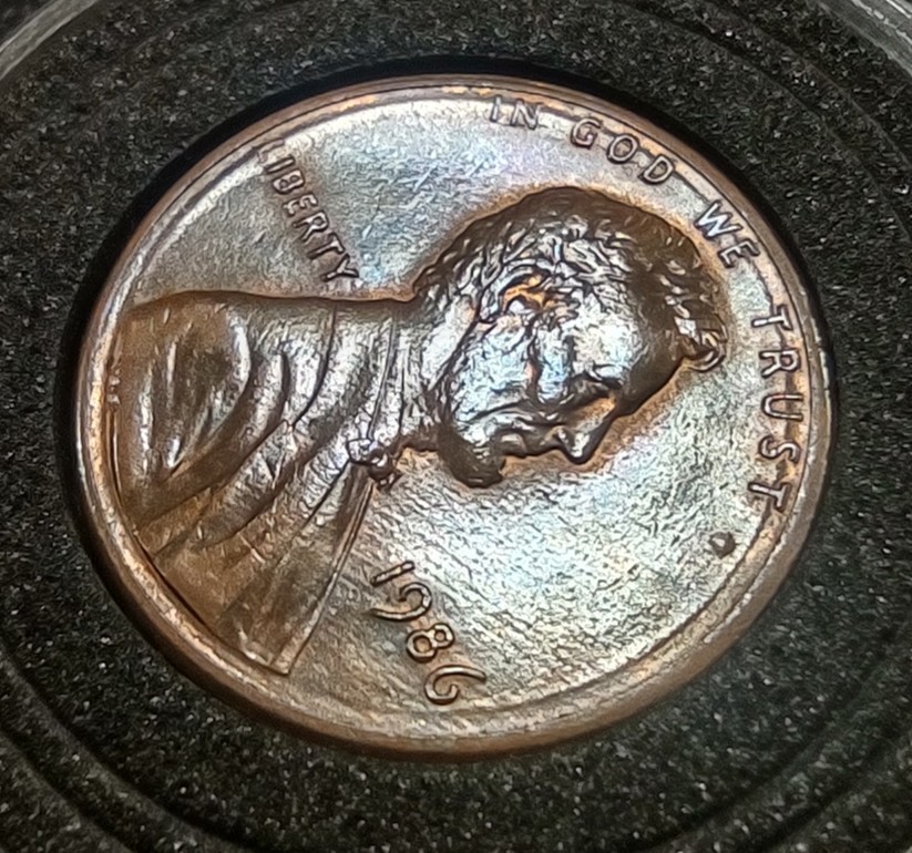 Picture 11 of 24