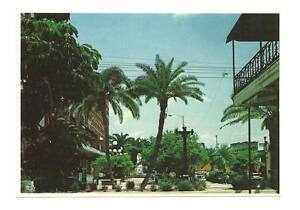 Y-039-BOR-CITY-TAMPA-FL-Vintage-Park-View-Ybor-Postcard