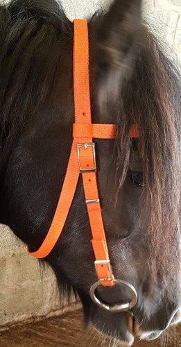 Mezza corona BRIDLE Shetland, piccolo pony, pony, pannocchia, F/S. Rete sintetica lavabile - Foto 39 di 52