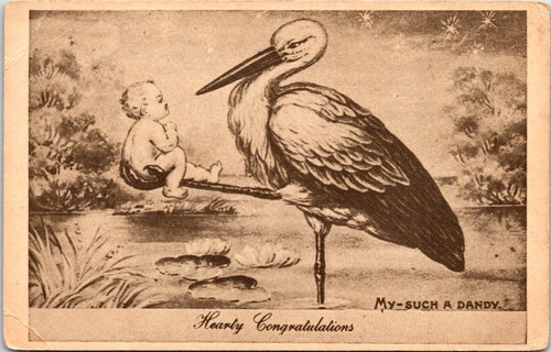 Postcard Hearty Congratulations New Baby Stork Such a Dandy Humor D96 - Picture 1 of 2