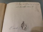Picture 5 of 12